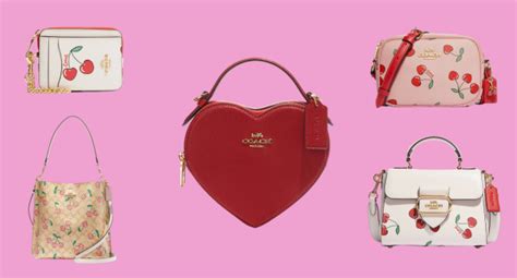 coach outlet valentines.